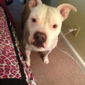 Meet your Posher, Anna banna 🍌